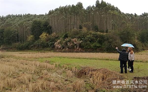 淮安陈老师带着爱徒寻龙点穴